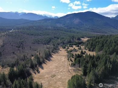 0 NKA Deer Park Rd, Port Angeles, WA 98362 - photo 4