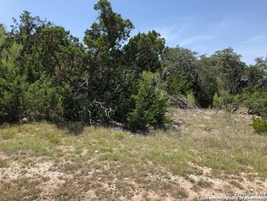 19307 Terra Brook, San Antonio, TX 78255 - photo 2