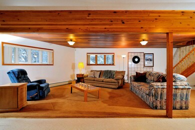 Large Living Space in Downstairs