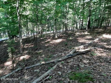 0 Deer Pond Cir unit 1281474, Lafollette, TN 37766 - photo 2