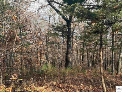 24978 Highway H, Lincoln, MO 65338 - photo 4