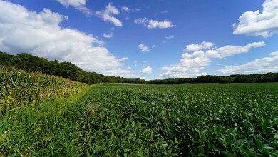 1594 Pleasantview Rd, Richland Township, IL 61570 - photo 7