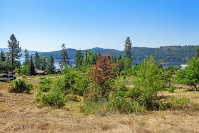 NNA Lacon, Harrison, ID 83833 - photo 6