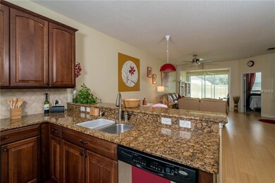 21617 Belgian Ct, Mount Dora, FL 32757 - photo 4