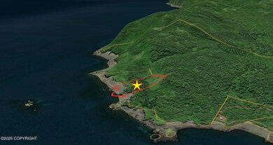 L5 Uyak Bay, Larsen Bay, AK 99624 - photo 5