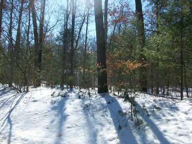 100_2991.jpg
