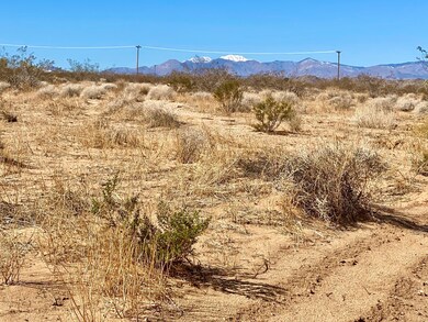 132 Mars Dr, Joshua Tree, CA 92252 - photo 5