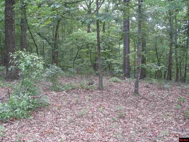 0 Diamond Bay Rd, Union Township, AR 72531 - photo 7