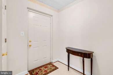 6117 Springwater Place unit 1724, Frederick, MD 21701 - photo 7