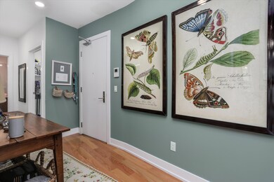 Kingsley Condominiums unit 209, Ann Arbor, MI 48103 - photo 2