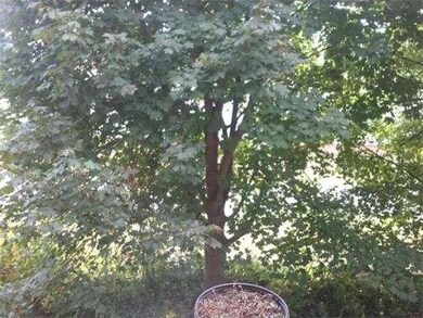 236 Broadway unit 7, Malden, MA 02148 - photo 3