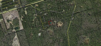 xx Keerns Dr, Crawfordville, FL 32327 - photo 6
