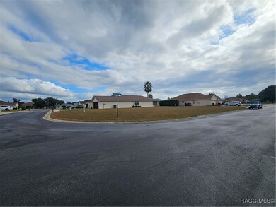 3756 E Kiwi Cove Ct, Hernando, FL 34441 - photo 4
