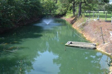 Catfish Pond