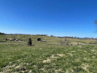 TBD Monroe Rd, Meadowview, VA 24361 - photo 7