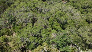 15050 Chinquapin, Helotes, TX 78023 - photo 2