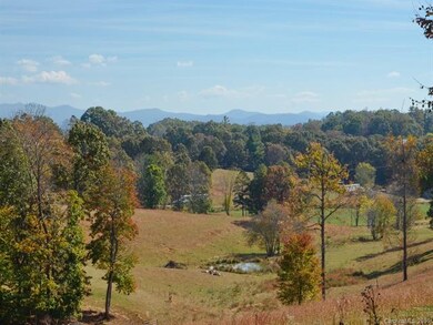 580 Piney Knob Rd, Leicester, NC 28748 - photo 3