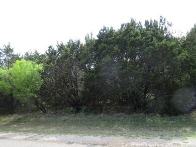 12208 Rolling Oaks Dr, Whitney, TX 76692 - photo 2