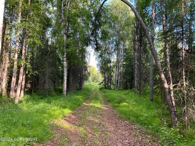 13964 W Little Jack Ave, Wasilla (19)