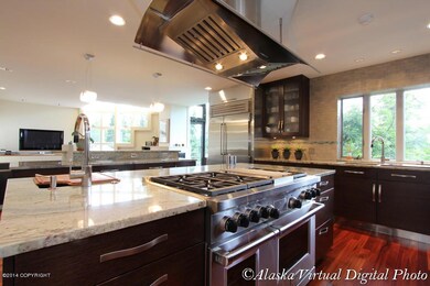 Chef's gas stove and fan