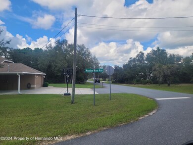 10298 Meadow Wren Ave, Weeki Wachee, FL 34613 - photo 5