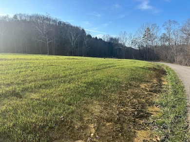 Lot 8 Hensley Rd, East Bernstadt, KY 40729 - photo 6