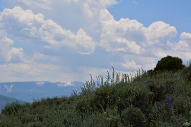 Beautiful views and wildflowers.