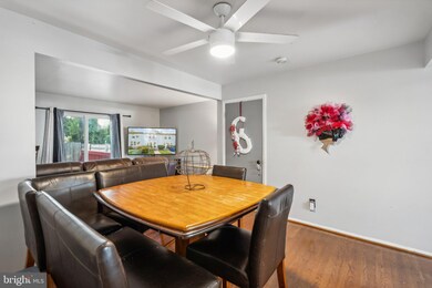 65 Cobber Ln, Baltimore, MD 21229 - photo 7