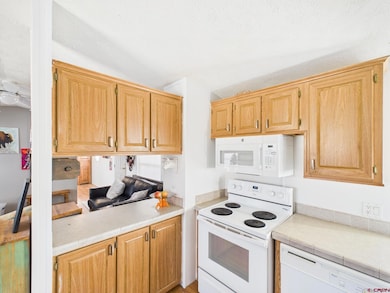 288 Animas View Dr unit 9, Durango, CO 81301 - photo 7