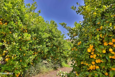 Lemons