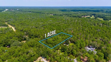 3-web-or-mls-Via Internacional Aerial-2