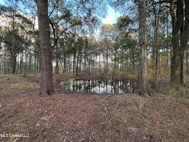 4024 Old Mill Rd, Osyka, MS 39657 - photo 5