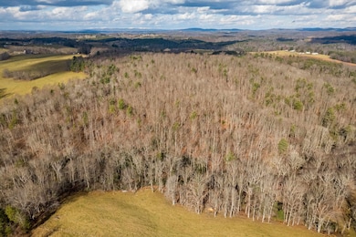 TBD Dr, Hillsville, VA 24343 - photo 4