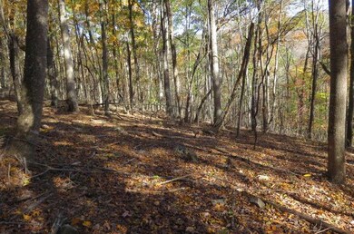 N.Top Mtn