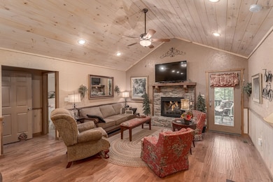 337 Branch Creek Rd, Blue Ridge, GA 30513 - photo 4