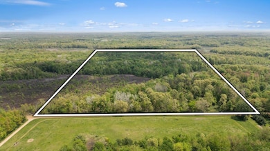 0 37th St, Gobles, MI 49055 - photo 2