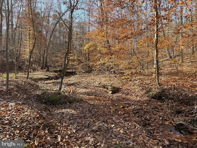 0 Hardware Rd unit VABH2000240, Scottsville, VA 24590 - photo 5