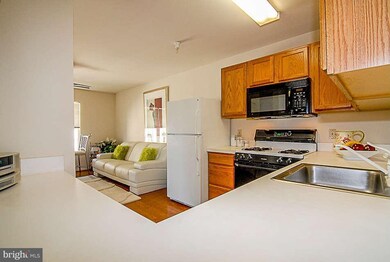 9111 Gracious End Ct unit 301, Columbia, MD 21046 - photo 5