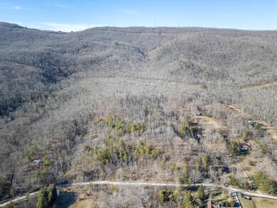 TBD Laurel Fork Rd, Rocky Gap, VA 24366 - photo 6