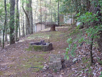 752 Grouse Cir, Hiawassee, GA 30546 - photo 3