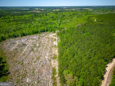 0 Ward Boyette Rd, Bristol, GA 31518 - photo 4