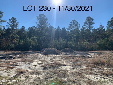 1036 Mackerel Manor, New Bern, NC 28562 - photo 4