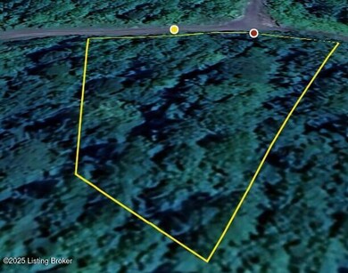 0 Ridenours Way GOOGLE AERIAL 4