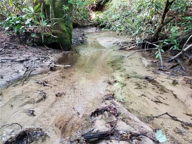 Sugar Creek is constantly flowing along the run ac