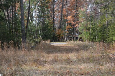 2905 Neahtawanta Rd, Peninsula Township, MI 49686 - photo 5