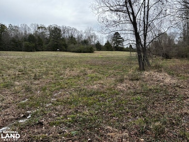 8735 Fernbank Rd, Millport, AL 35576 - photo 2