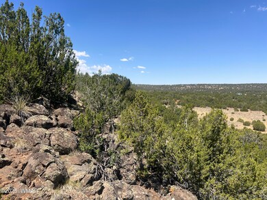 5 County Rd unit 8095, Concho, AZ 85924 - photo 2