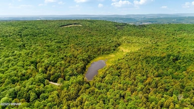 large-67436d75-8878-4cac-80c6-b8a73550dd