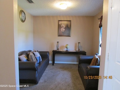 534 White Plains Ave SW, Palm Bay, FL 32908 - photo 4