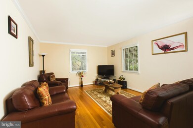 917 Emerald Dr, Alexandria, VA 22308 - photo 6